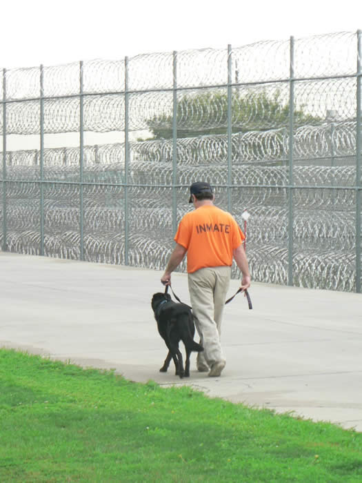 Inmate taking a dog for a walk.