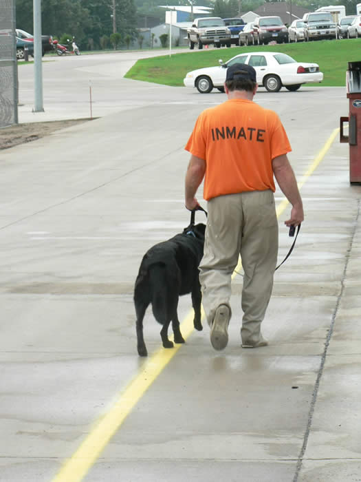 Inmate taking dog for a walk.