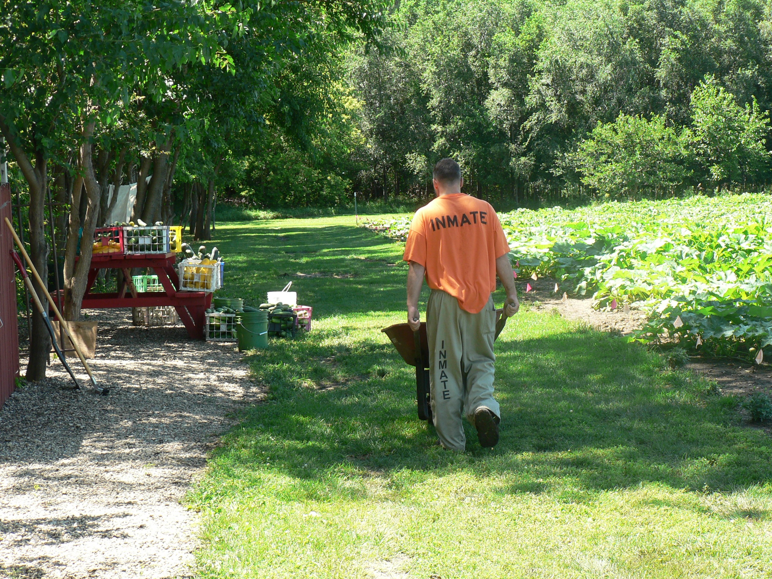 An inmate prepares produce for distribution